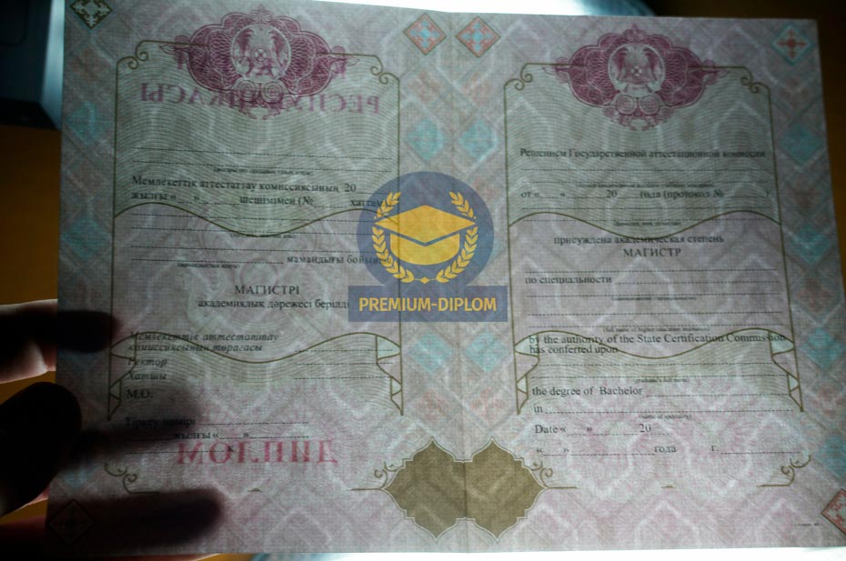 Магистр 2009 - 2025 с отличием (Казахстан) - фото